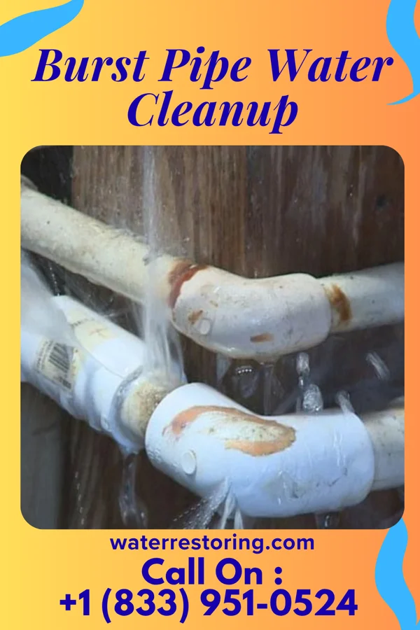 Burst Pipe Water Cleanup in Belmont, PA