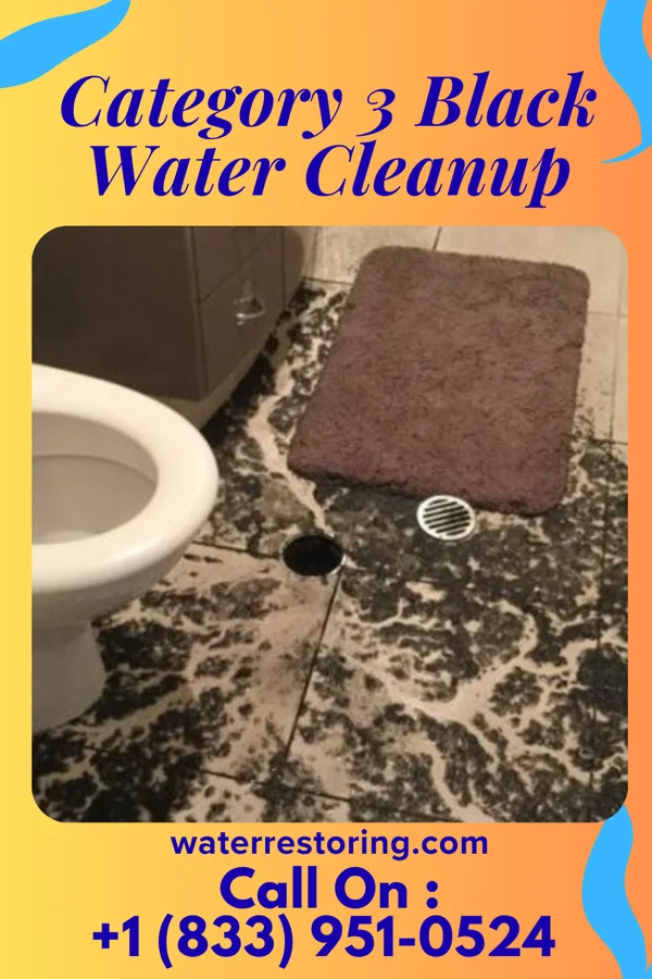 Category 3 Black Water Cleanup in Belmont, PA