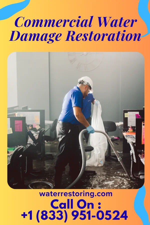 Commercial Water Damage Restoration in Belmont, PA