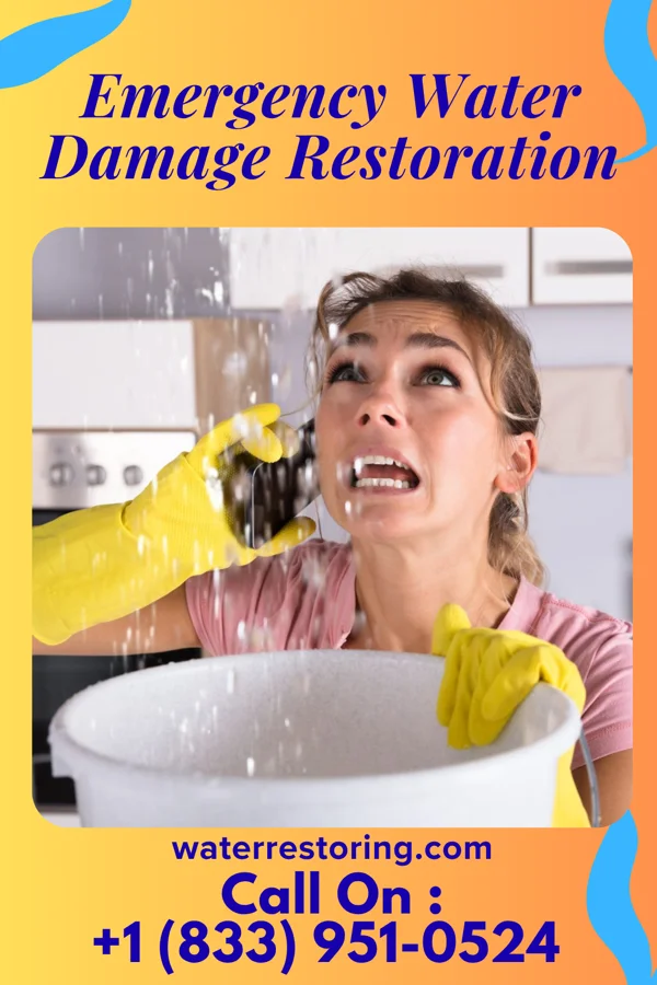 Emergency Water Damage Restoration in Belmont, PA