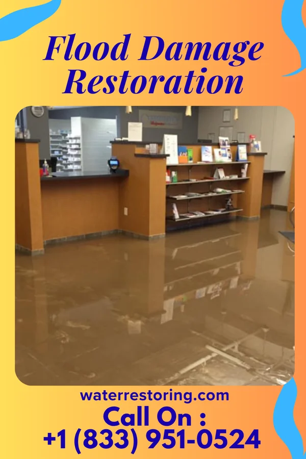 Flood Damage Restoration in Belmont, PA