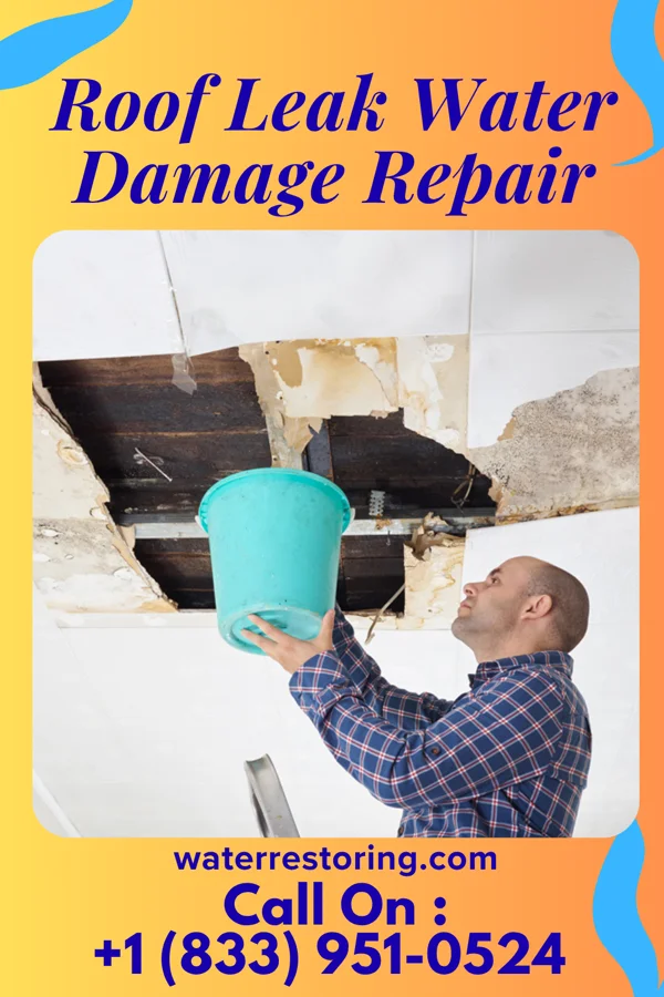 Roof Leak Water Damage Repair in Belmont, PA
