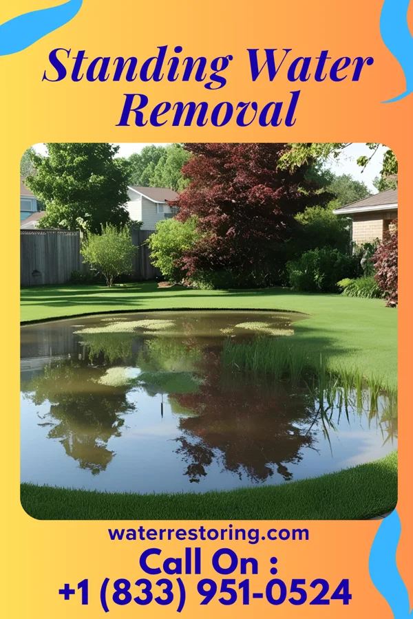 Standing Water Removal in Belmont, PA